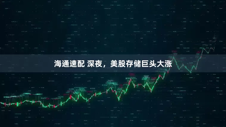 海通速配 深夜，美股存储巨头大涨